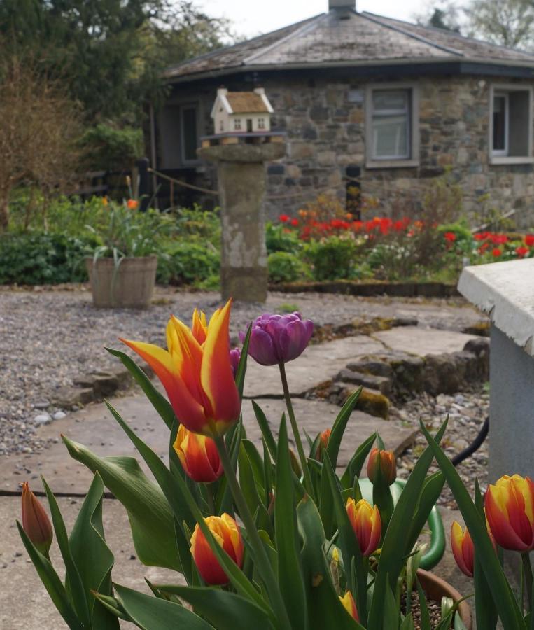 Ferienwohnung The Old Rectory Donard Dun Ard Exterior foto